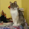 Отзыв от Альбина Барсукова